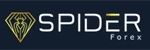 Spider Forex