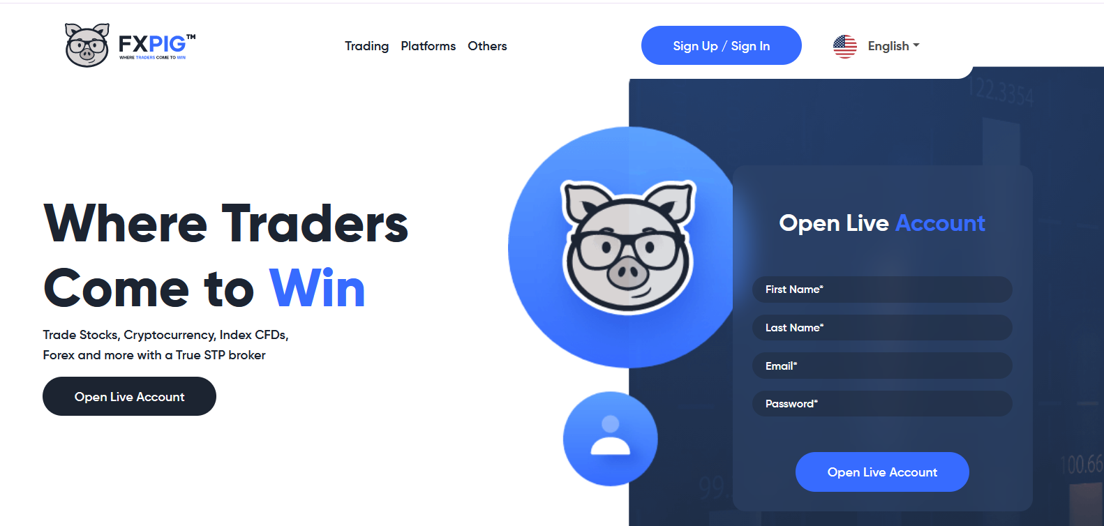 FXPIG review
