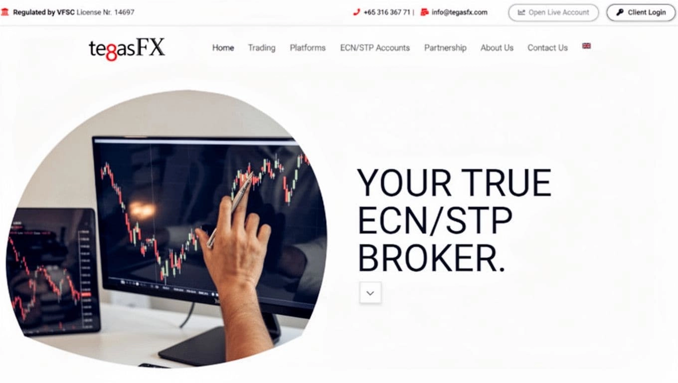 tegasFX review